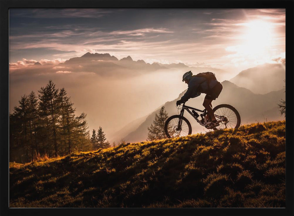 Den gyldne time på cykling | Plakater - Kunsttryk
