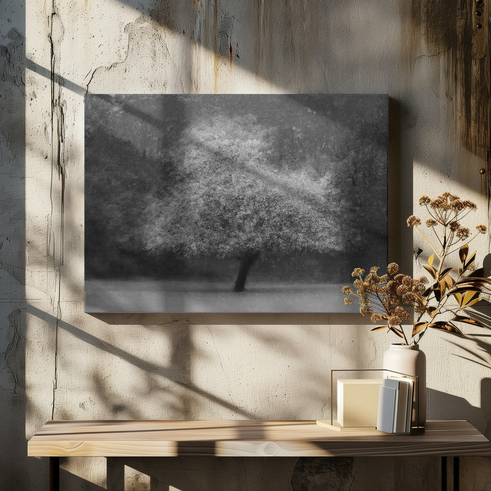 Tree magic | Canvas
