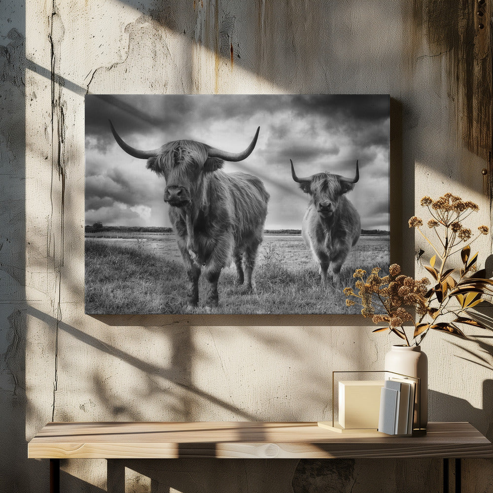 Hooglanden | Canvasprints