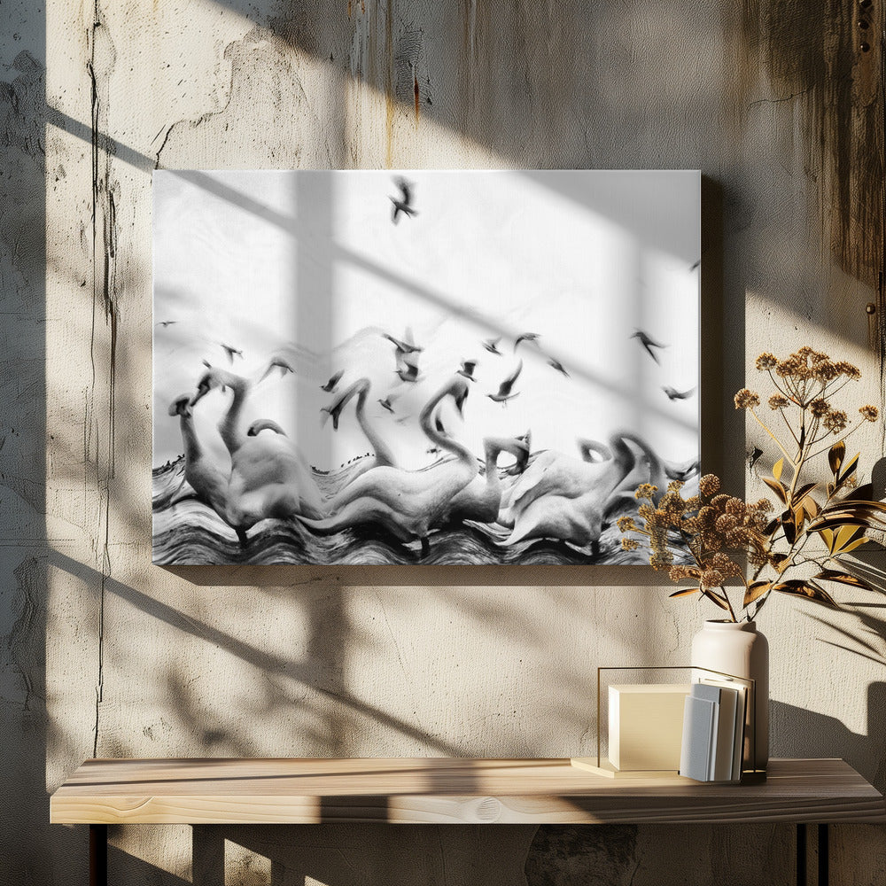 Zwanen golven | Canvasprints