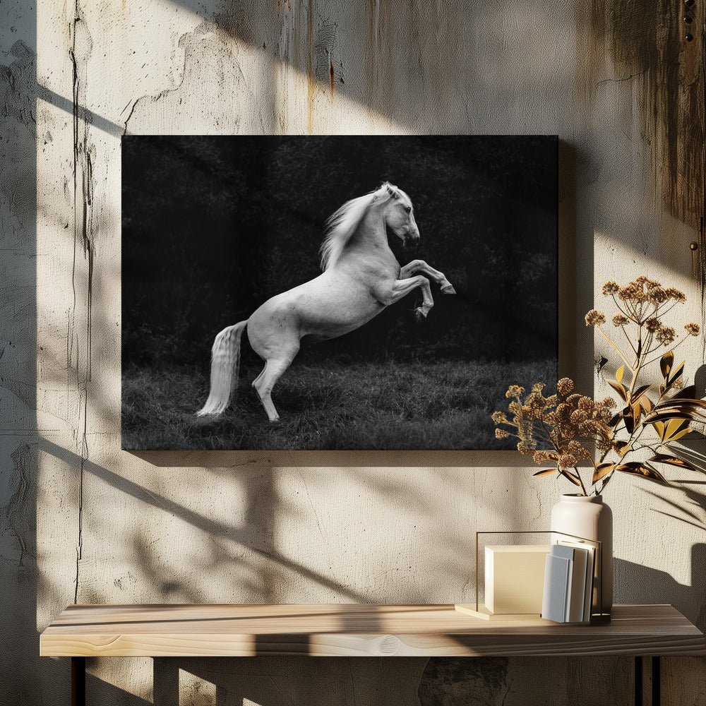 une courte histoire d'un brin d'herbe dans un sabot | Tableaux sur Toile
