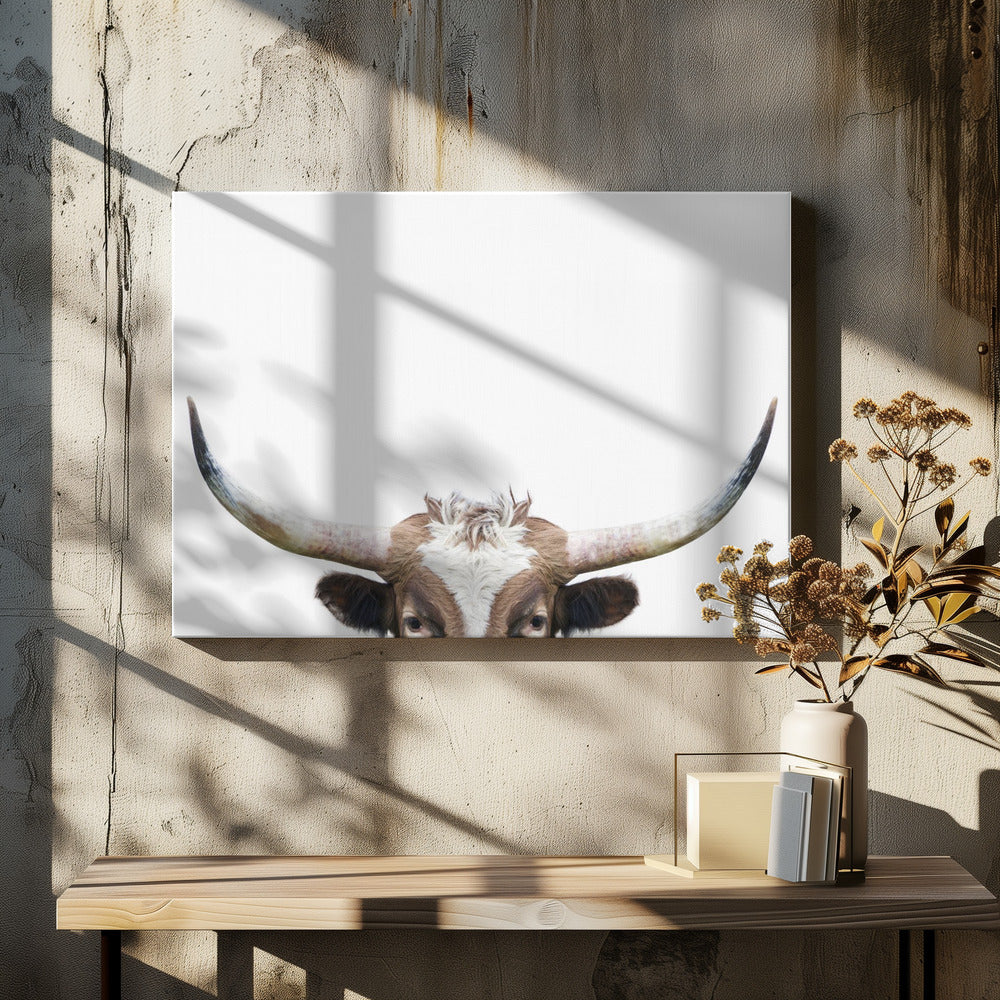 Vache à longues cornes qui regarde | Tableaux sur Toile