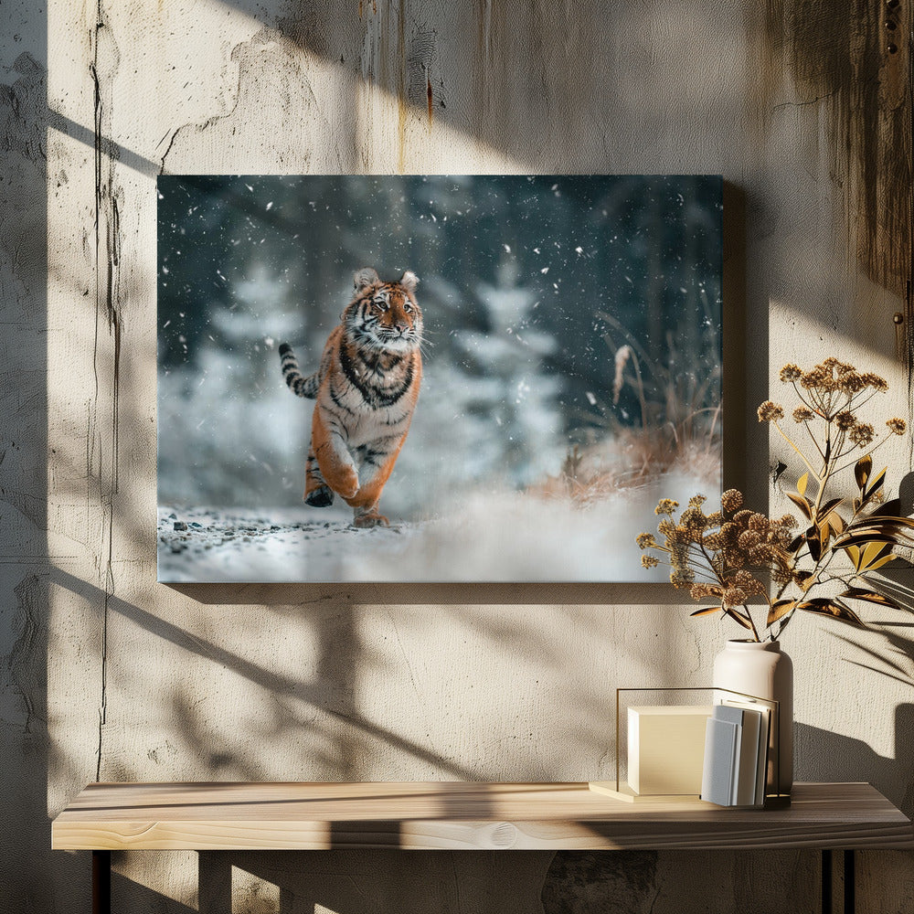 Le tigre de Sibérie | Tableaux sur Toile