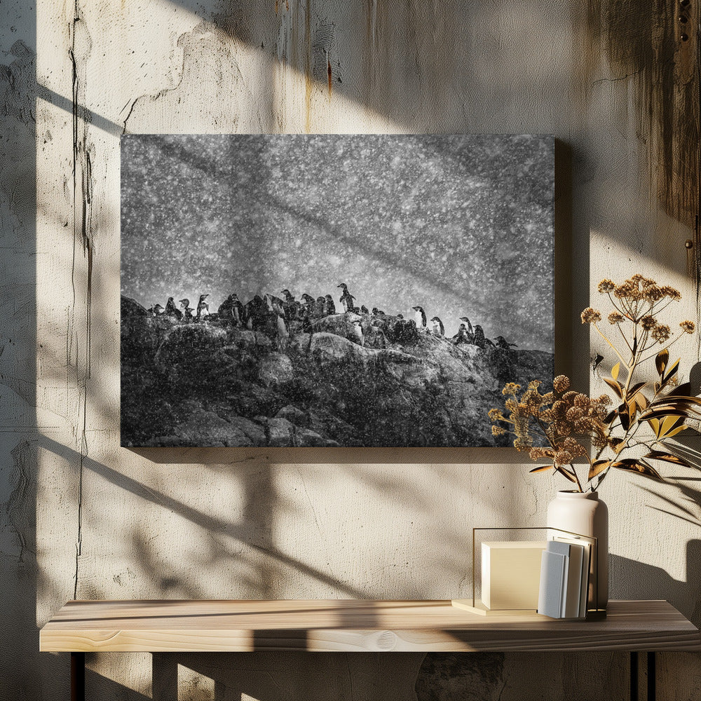 Antarktisk storm | Canvas