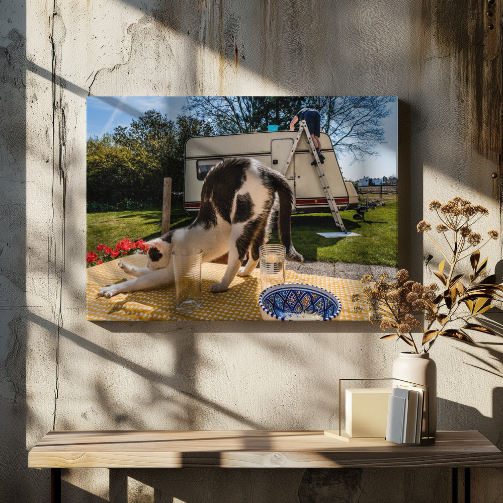 Simuler des poses. . . | Tableaux sur Toile