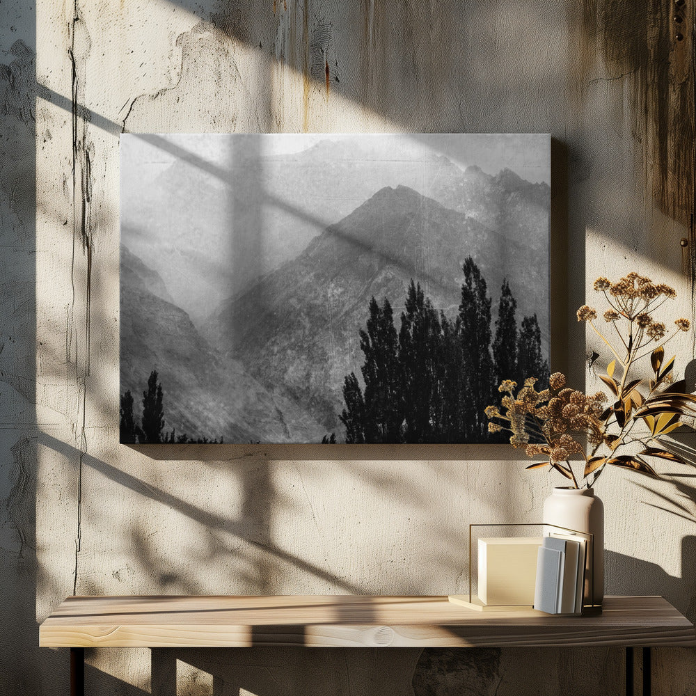 Alberi in montagna | Stampe su Tela