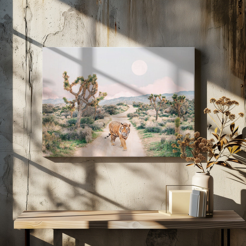 Tigre errante | Stampe su Tela