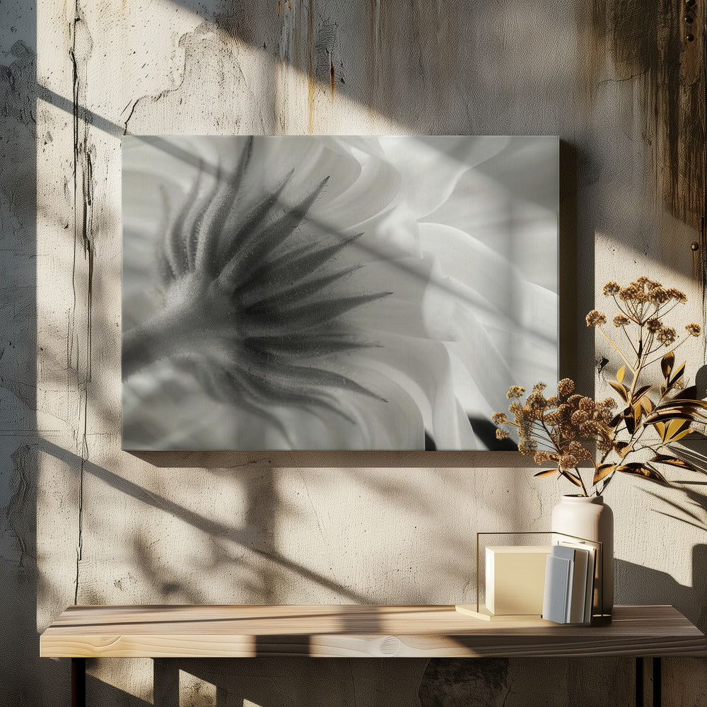 Ringblomma | Canvas
