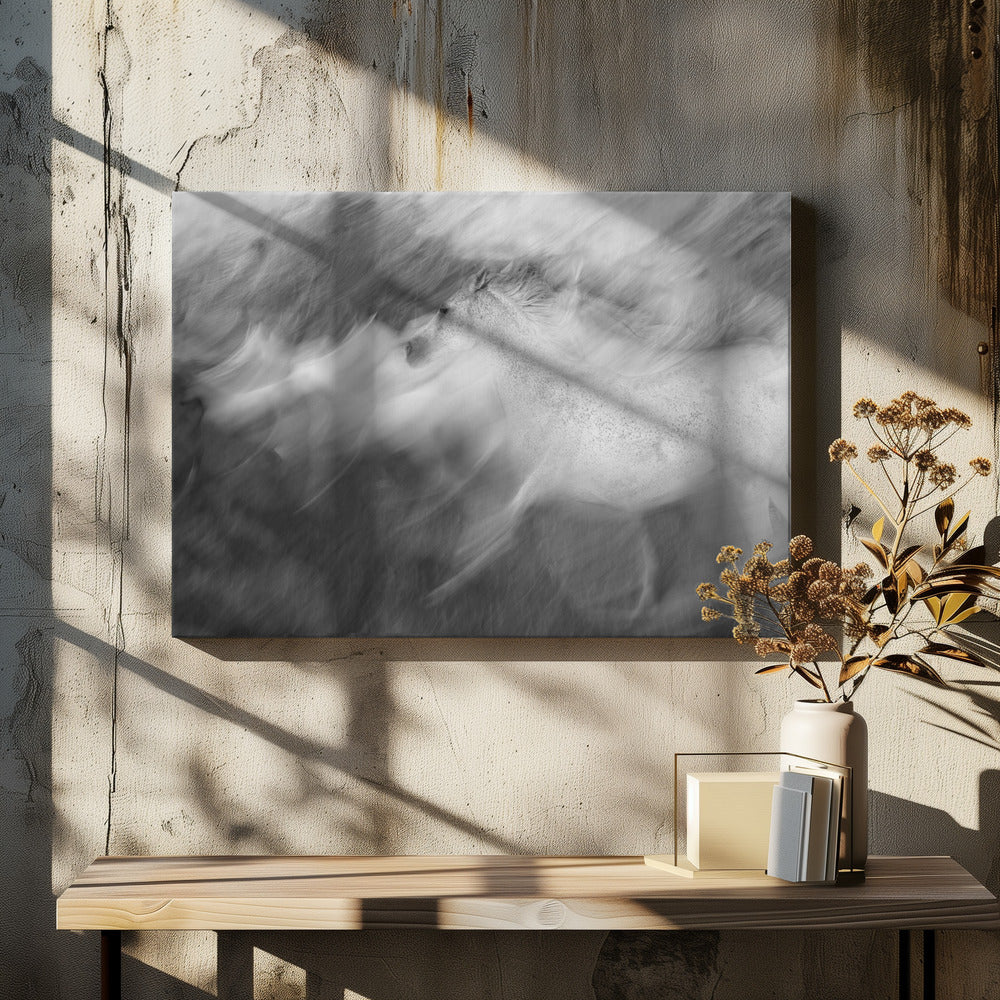 Mystic White | Canvas