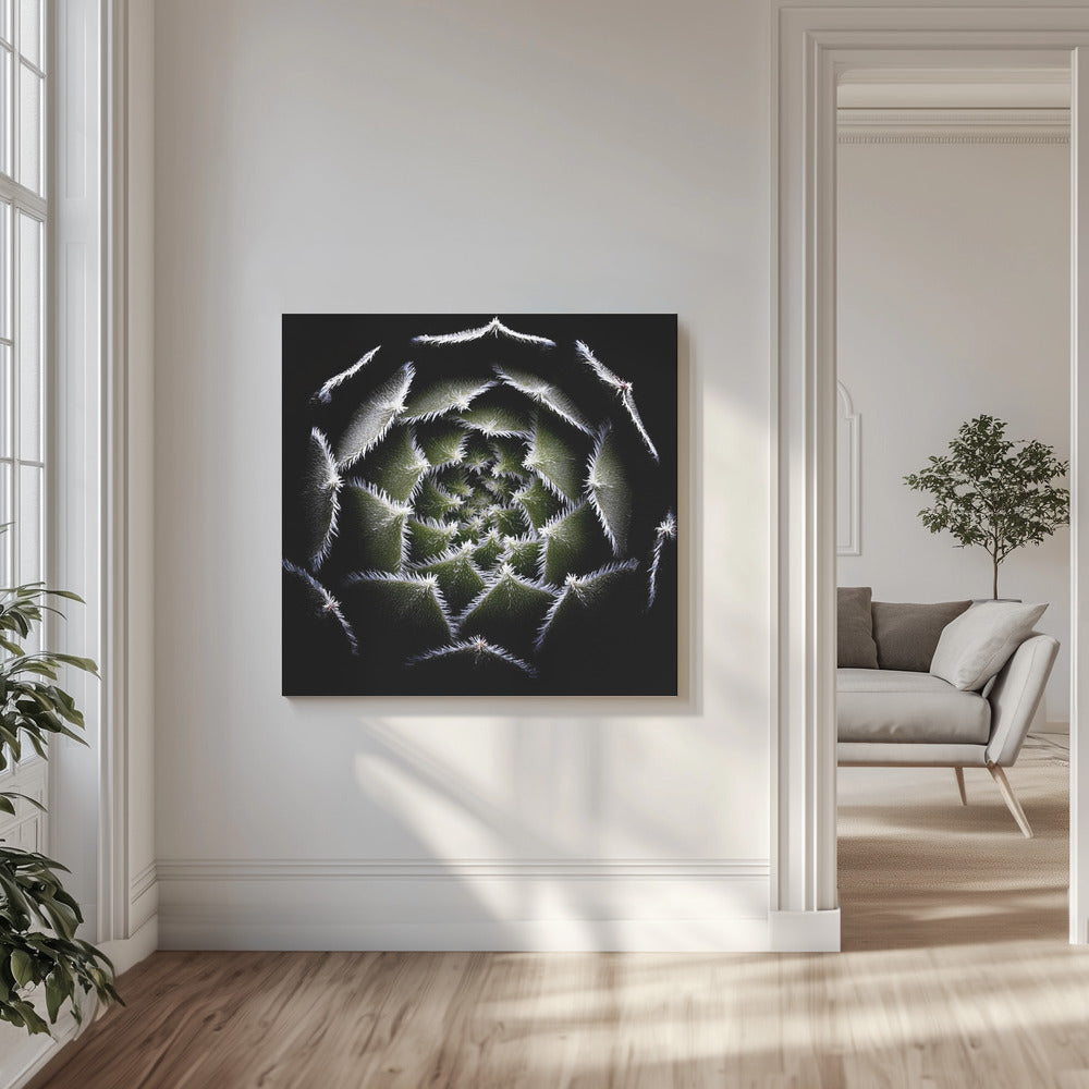 Sempervivum-ruusuke | Canvastaulut