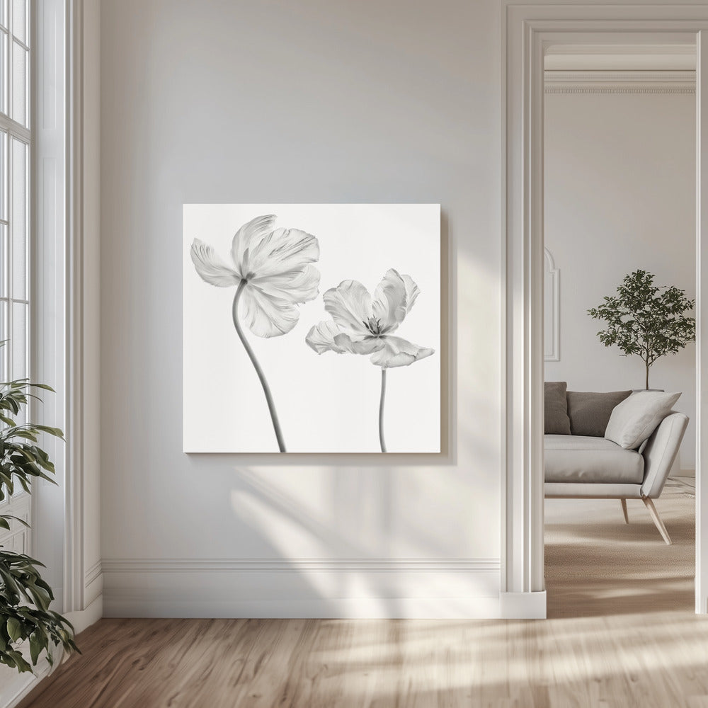 Same tulip : front- and backview | Canvas