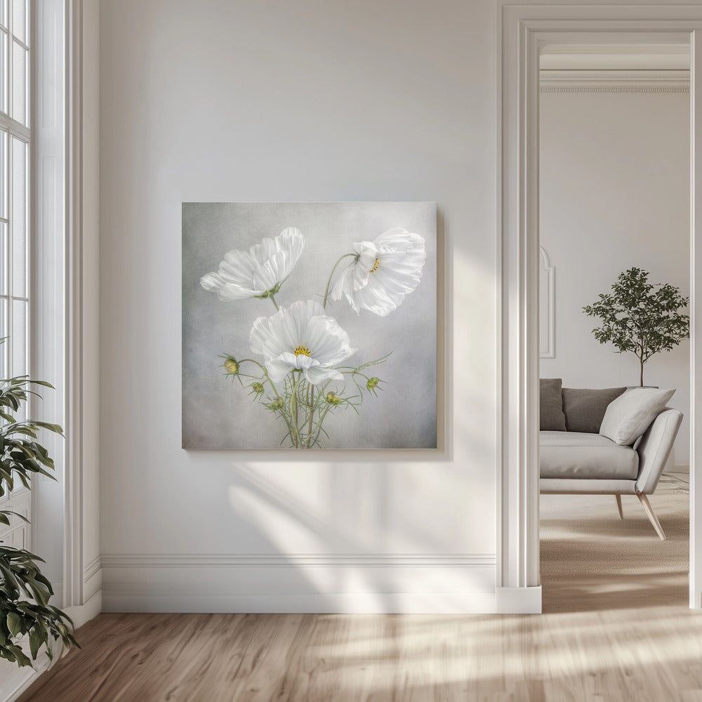 Charme Cosmos | Tableaux sur Toile