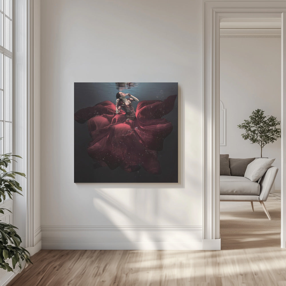 De dame in het rood | Canvasprints