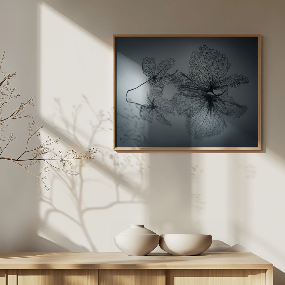 Belleza efímera | Posters - Impresiones de Arte
