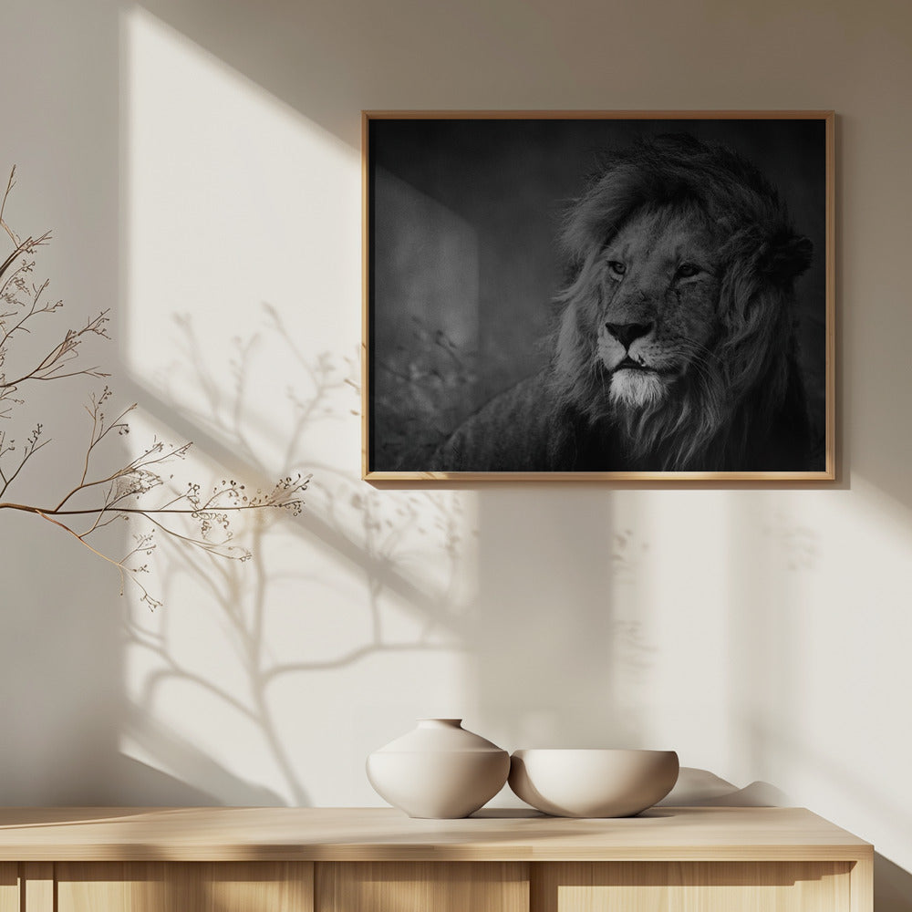 Regal | Poster - Kunstdruck