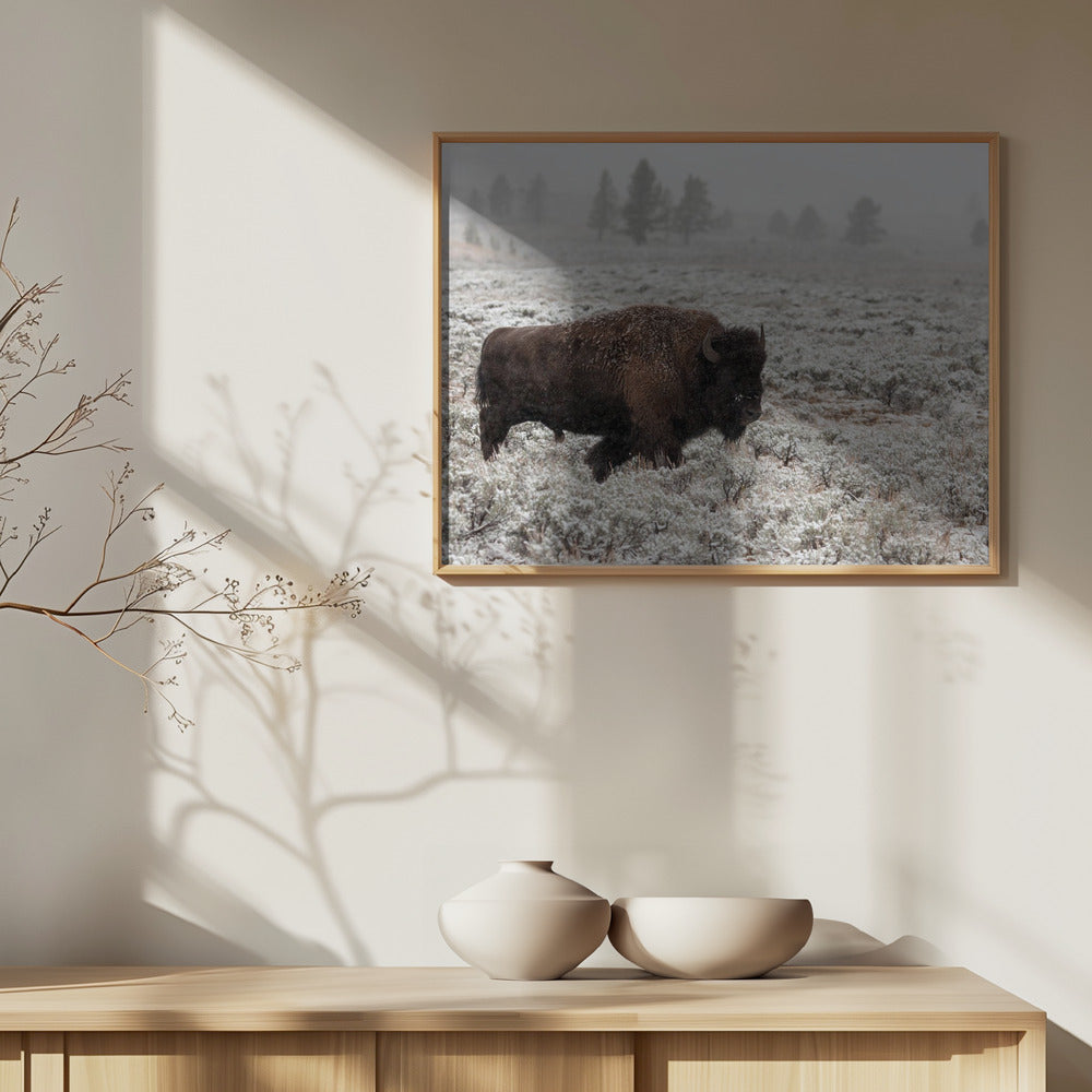 Yellowstone im Spätherbst | Poster - Kunstdruck