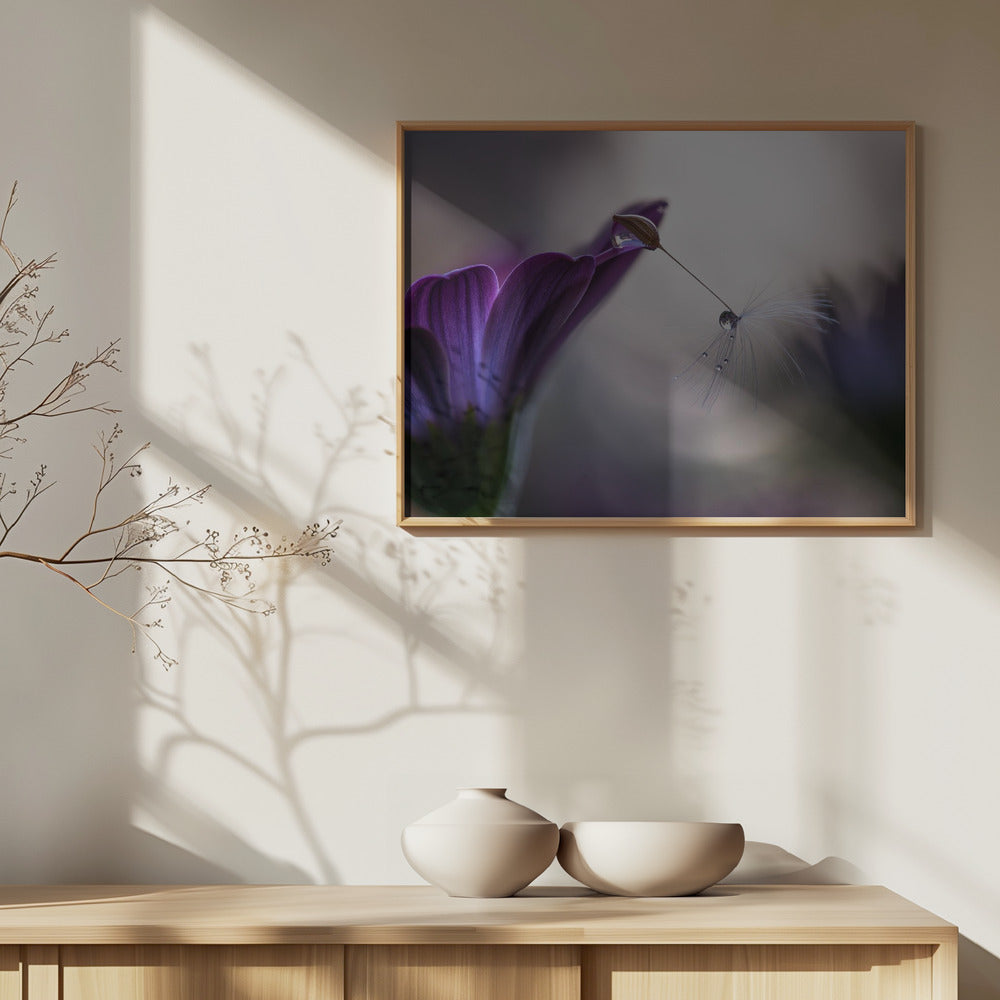 Lluvia purpura | Posters - Impresiones de Arte