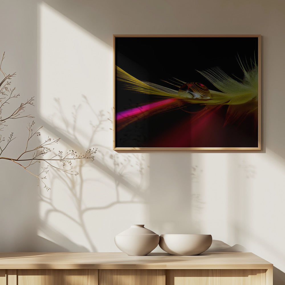 Kleuren in de druppel | Posters - Kunstdrukken