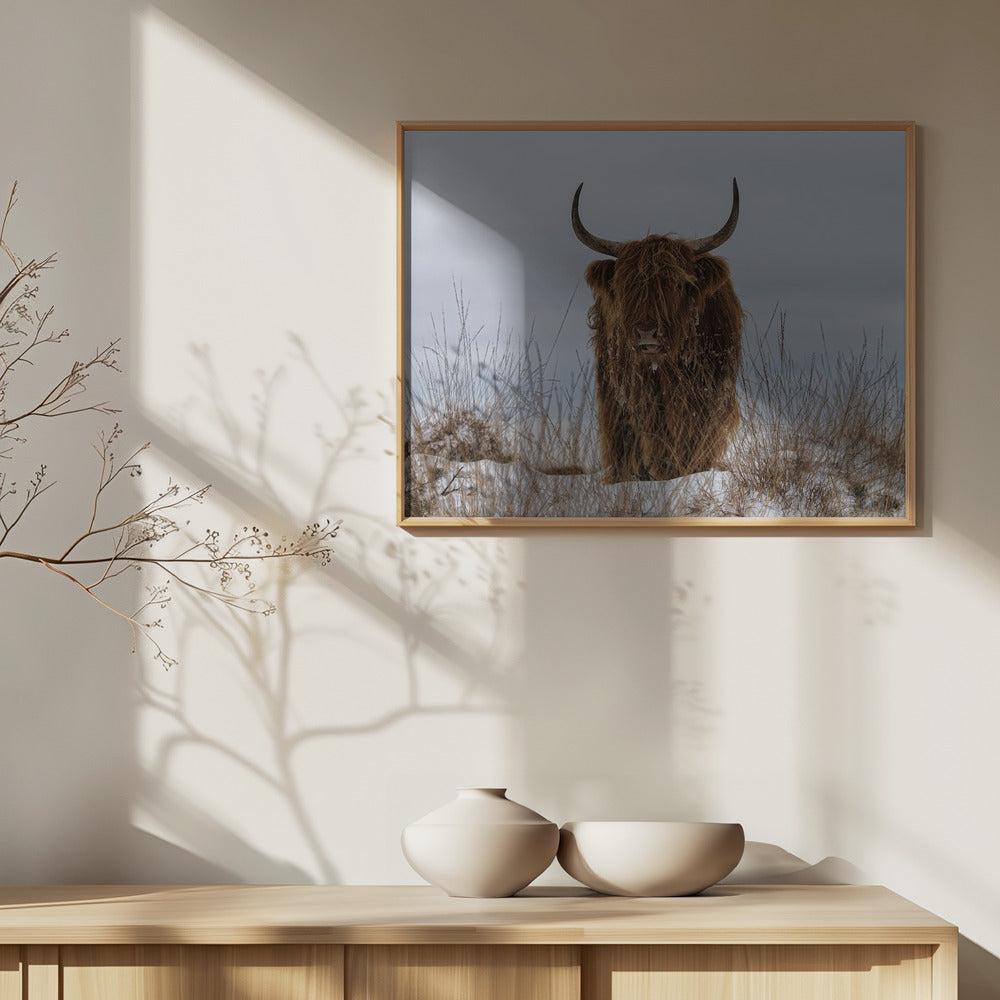 Highlander en la nieve | Posters - Impresiones de Arte