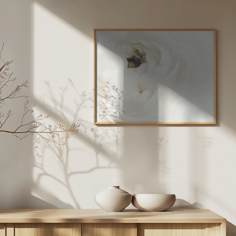 Fiore bianco 02 | Poster - Stampe d’Arte