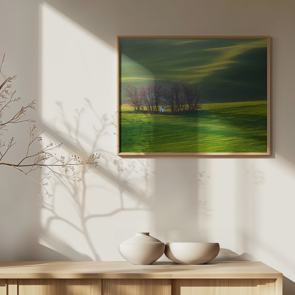 Campos... | Posters - Impresiones de Arte