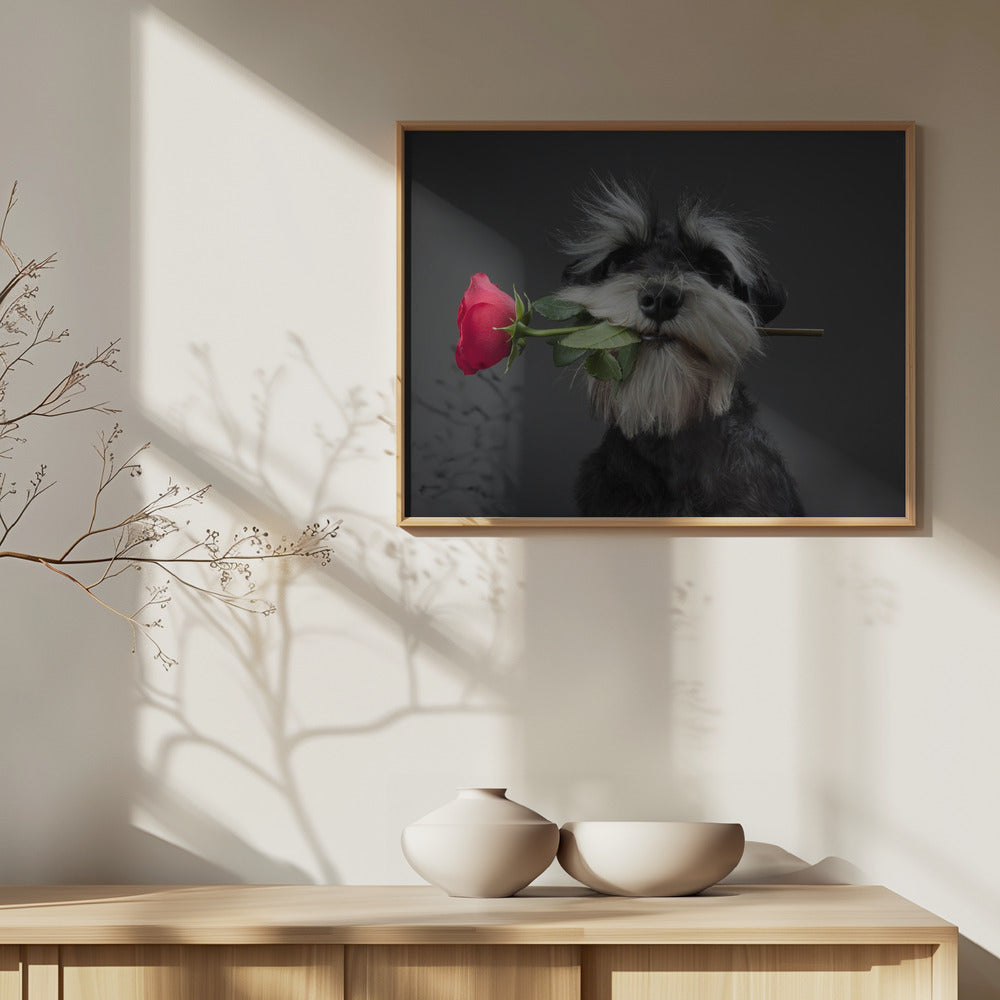 Ballerina di tango | Poster - Stampe d’Arte