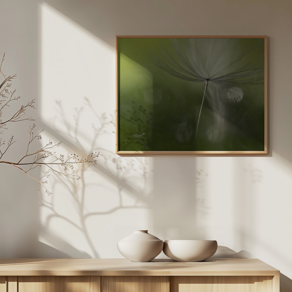 Ombre nel verde | Poster - Stampe d’Arte
