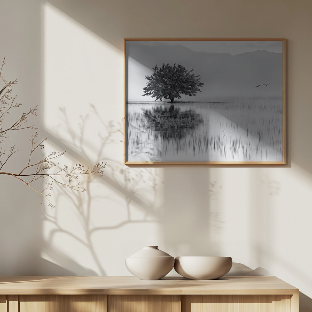 Specchio primaverile | Poster - Stampe d’Arte