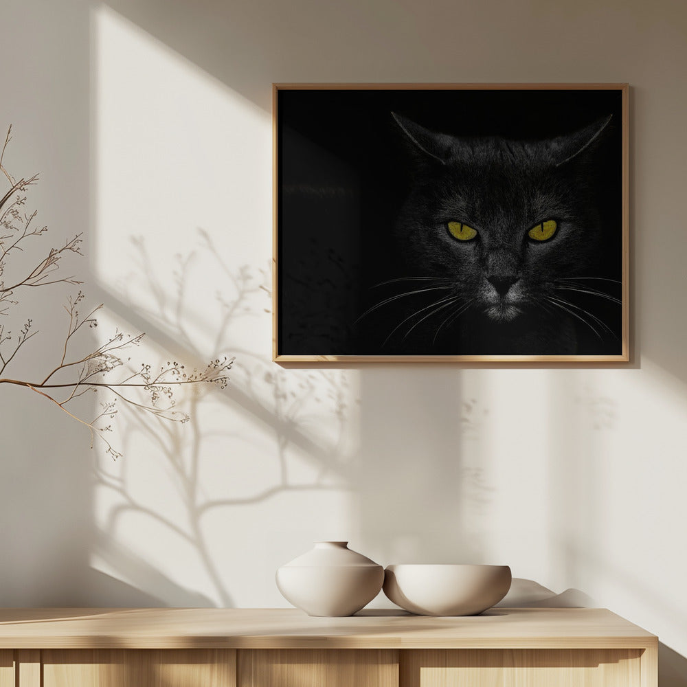 Chat noir | Posters - Affiche Artistique