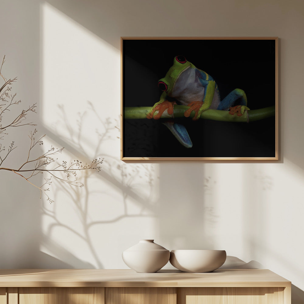 Neugier | Poster - Kunstdruck