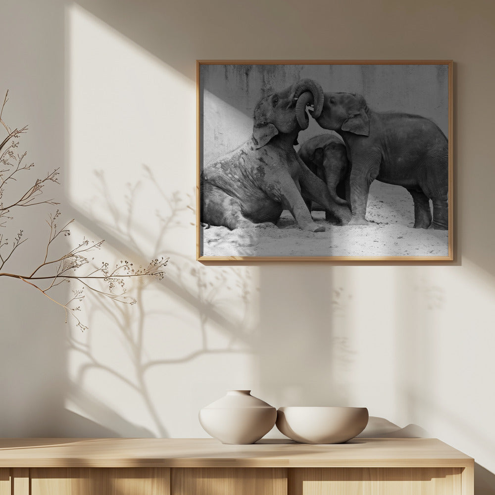 A TRE VIE | Poster - Stampe d’Arte