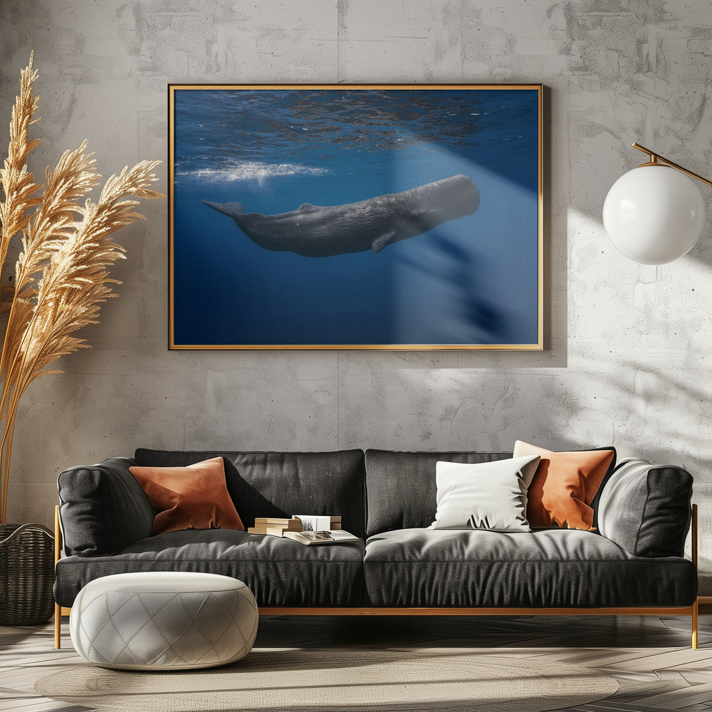 Cachalot | Posters - Affiche Artistique