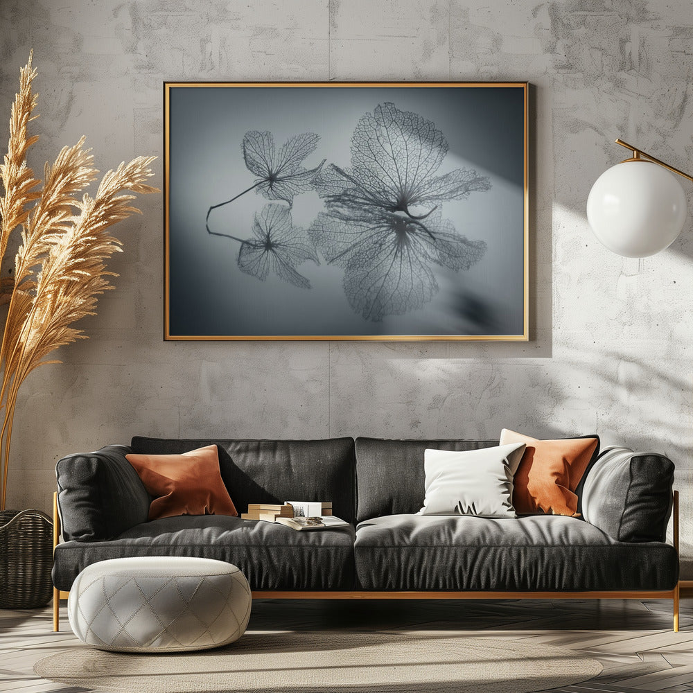 Belleza efímera | Posters - Impresiones de Arte