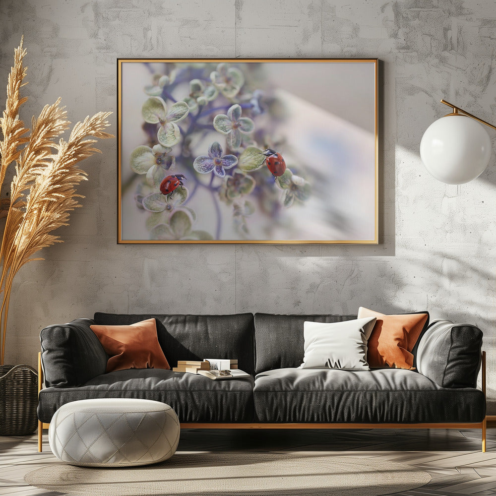 Fragile | Poster - Stampe d’Arte