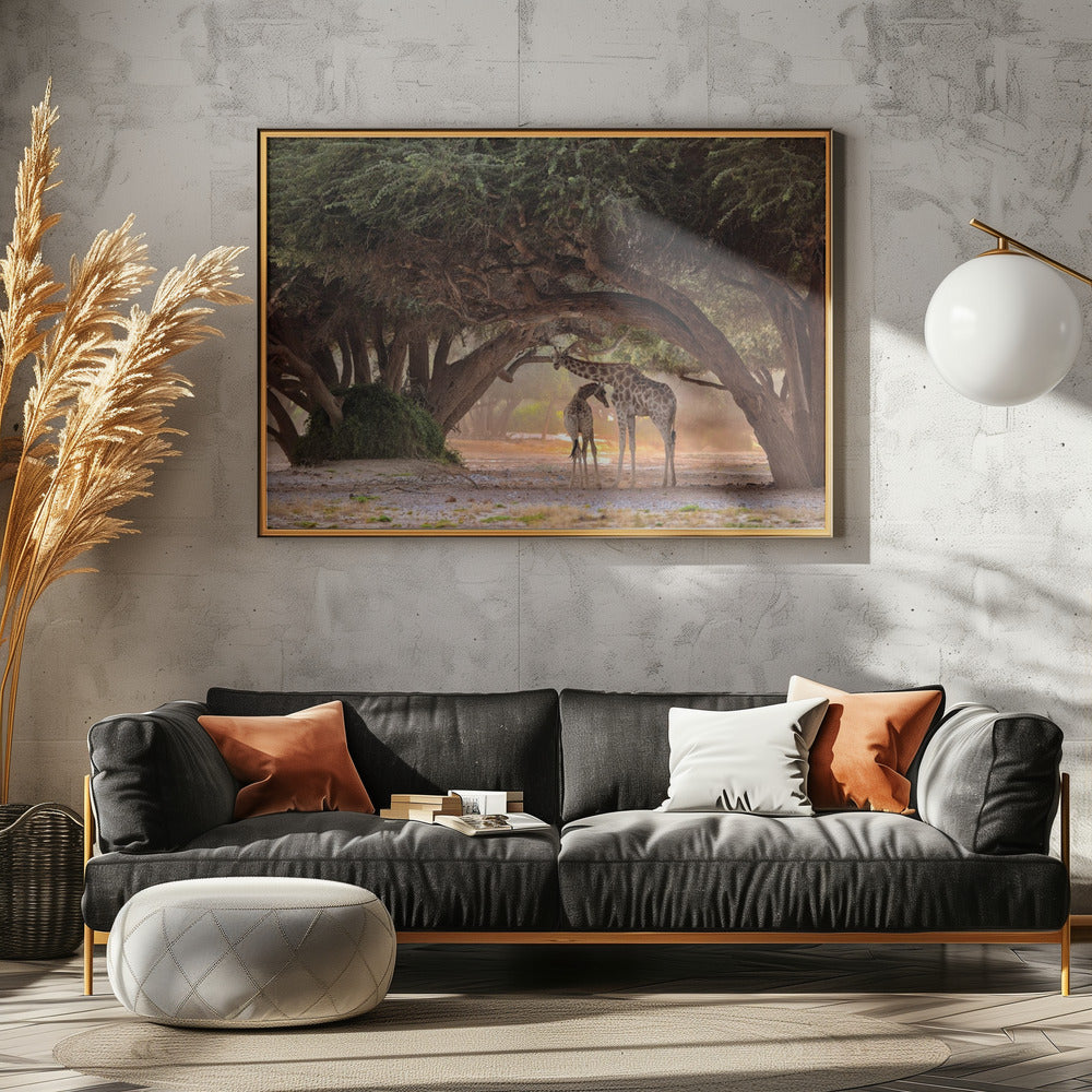 Giraf - Namibia | Plakater - Kunsttryk