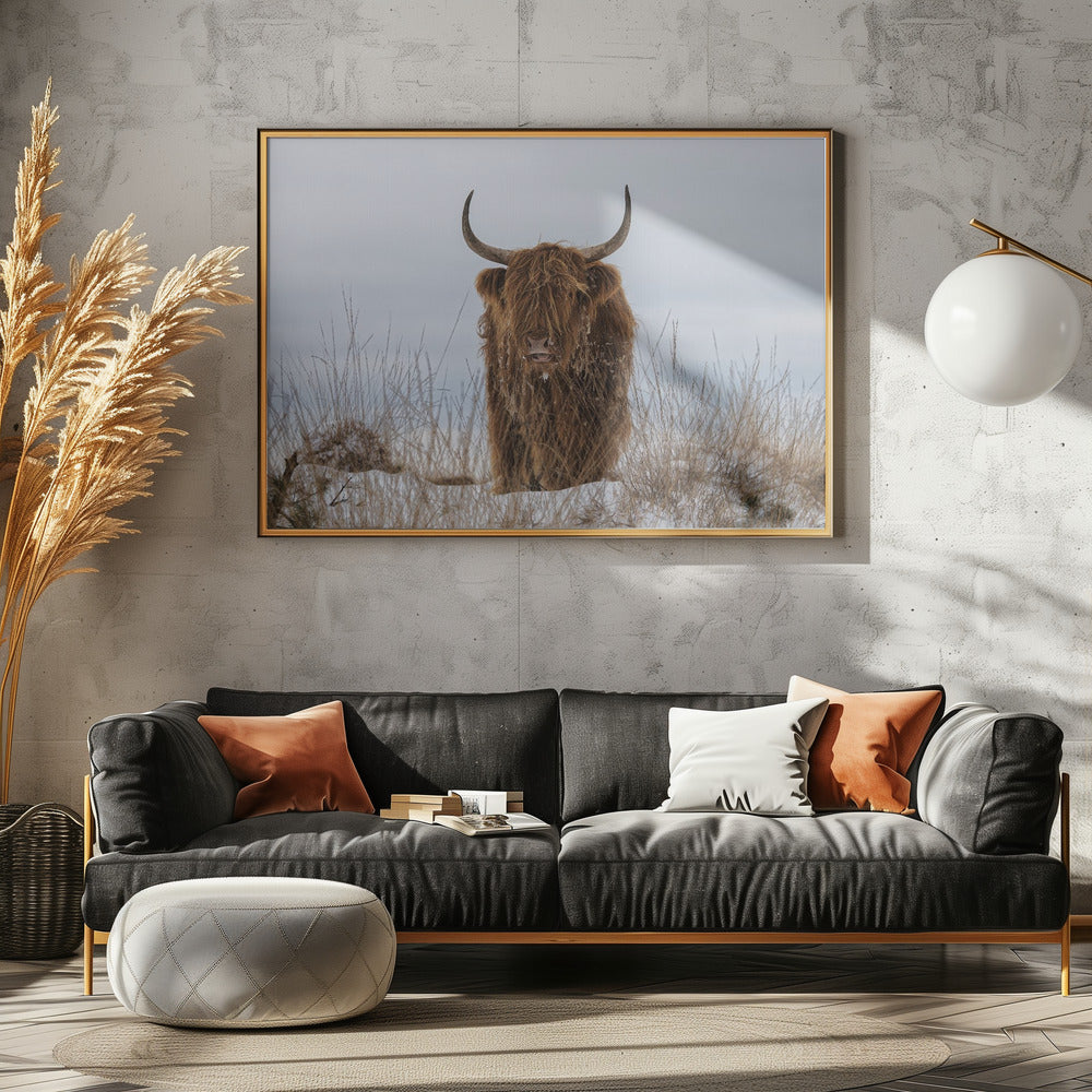 Highlander en la nieve | Posters - Impresiones de Arte