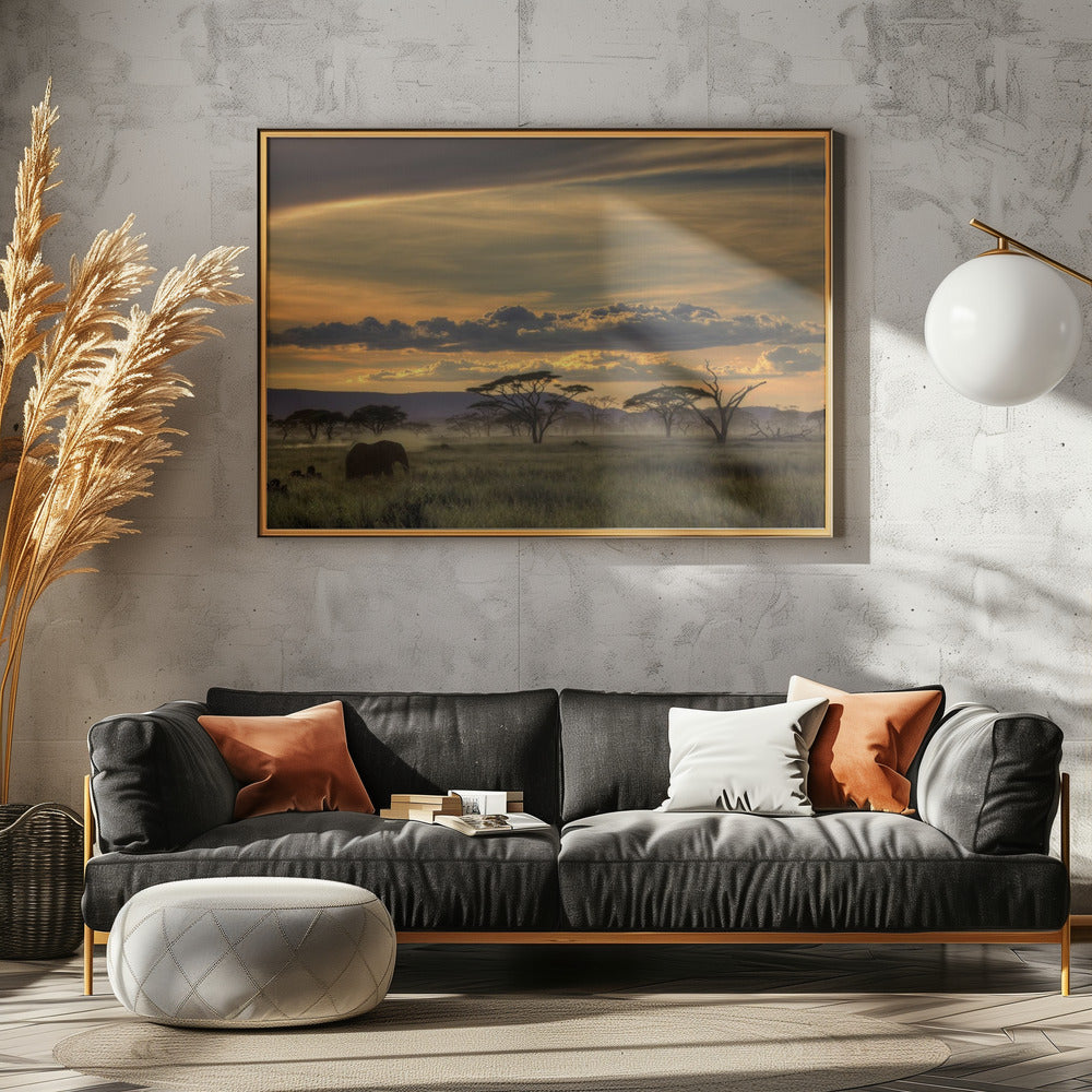 Africa | Poster - Stampe d’Arte