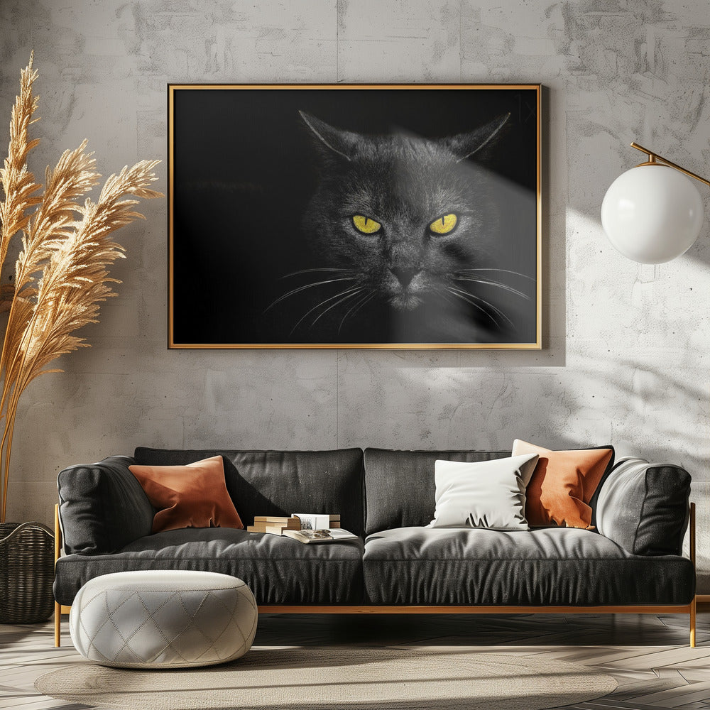 Chat noir | Posters - Affiche Artistique