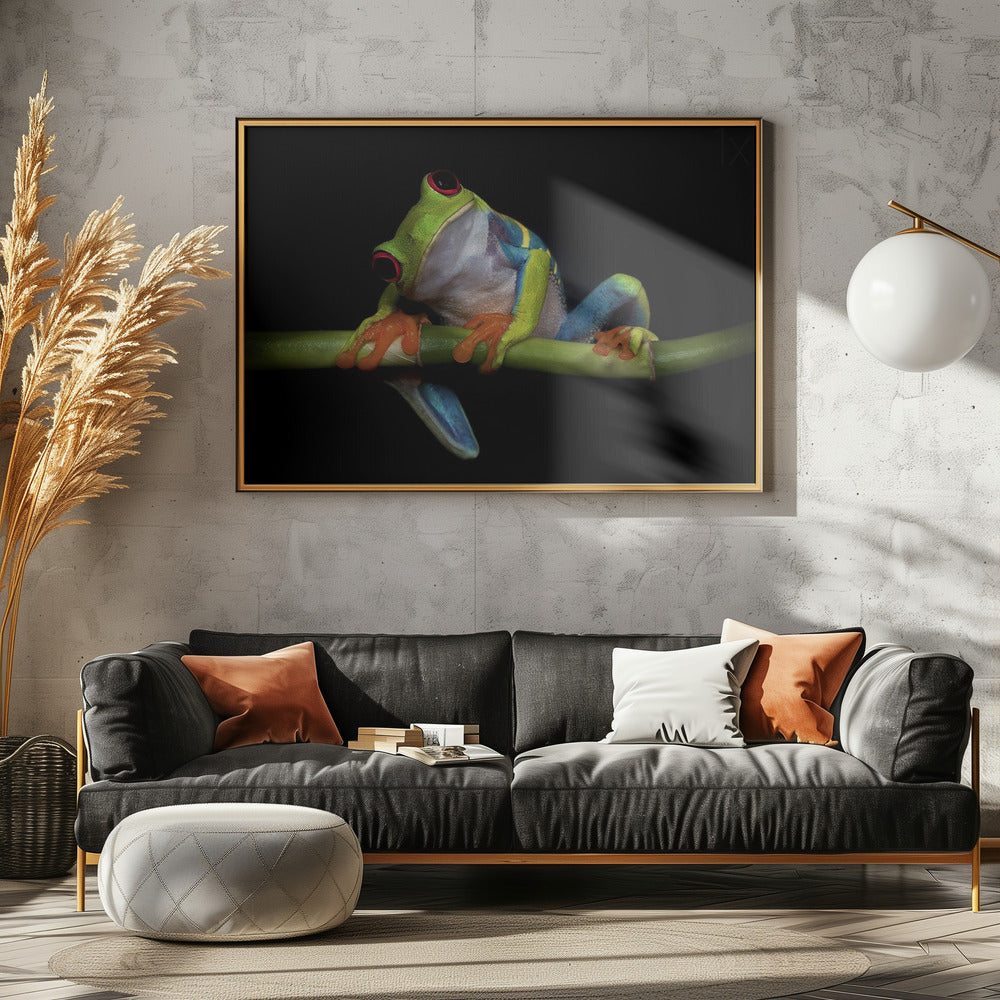 Neugier | Poster - Kunstdruck