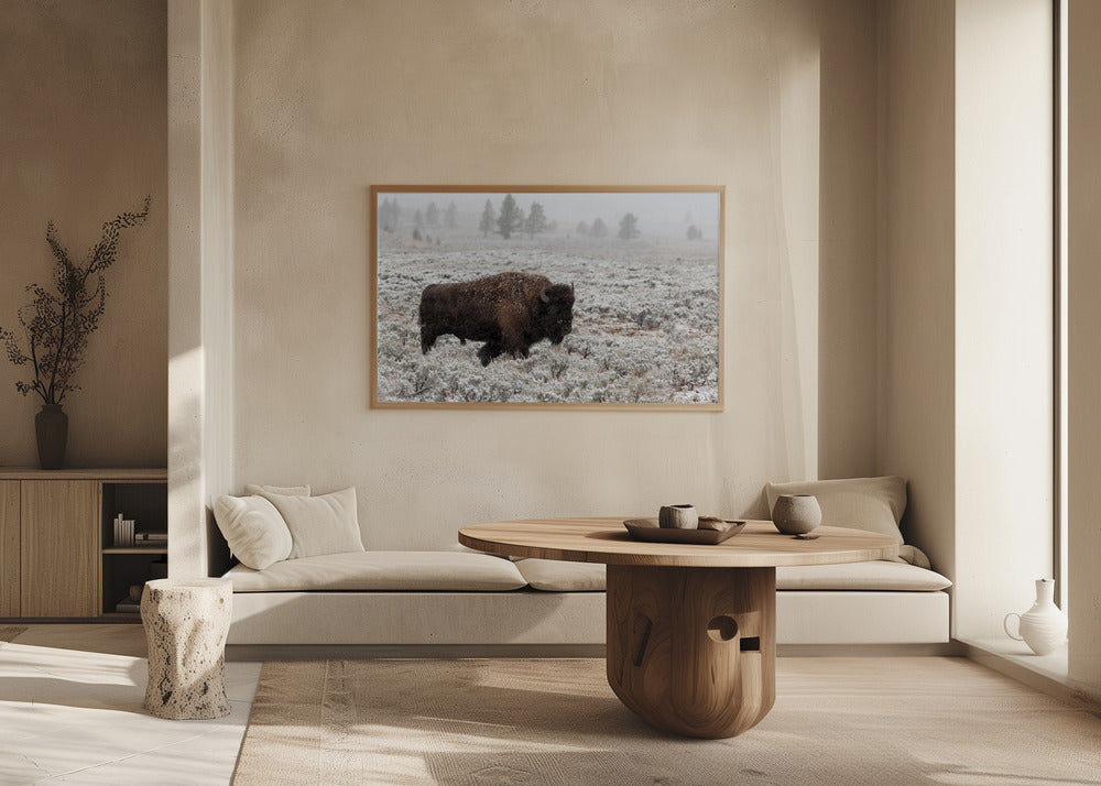 Yellowstone im Spätherbst | Poster - Kunstdruck