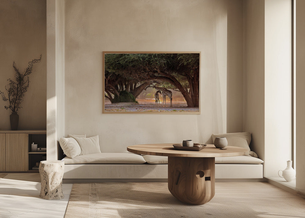 Giraf - Namibia | Plakater - Kunsttryk