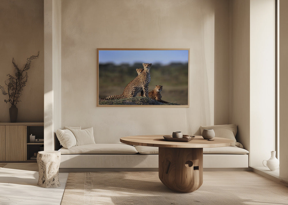 Gepardenfamilie | Poster - Kunstdruck