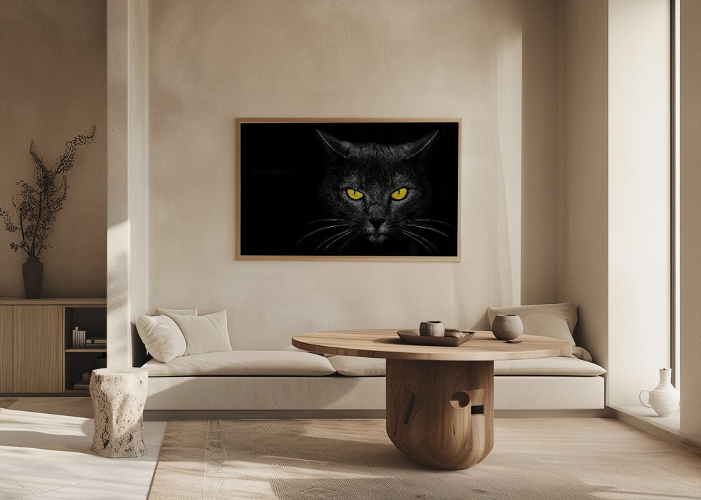 Chat noir | Posters - Affiche Artistique