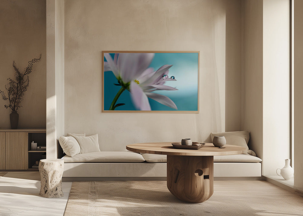 In compagnia turchese | Poster - Stampe d’Arte