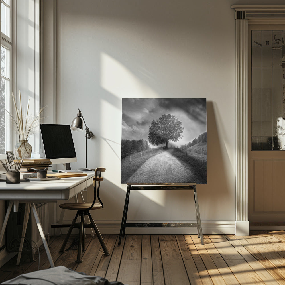 Sotto cieli neri | Stampe su Tela