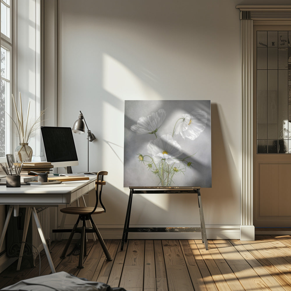 Charme Cosmos | Tableaux sur Toile