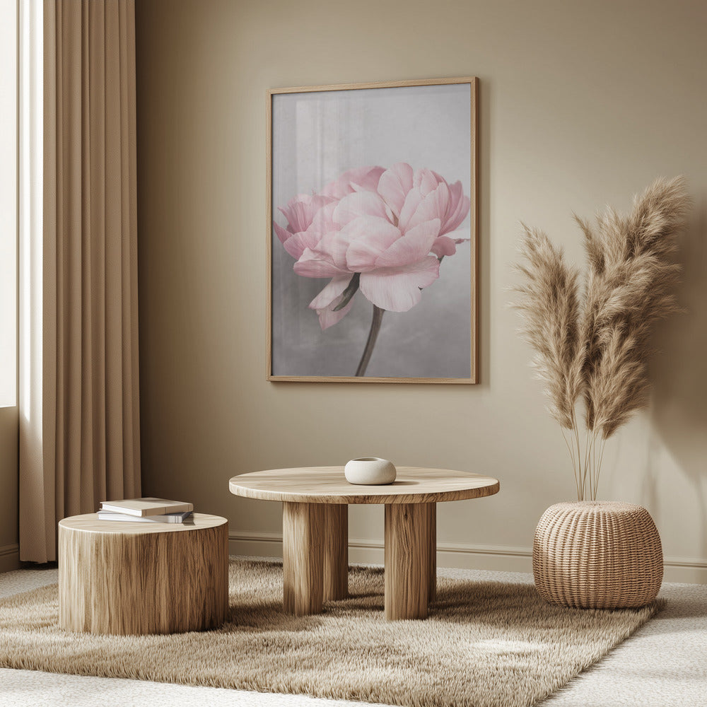 Pivoine | Posters - Affiche Artistique