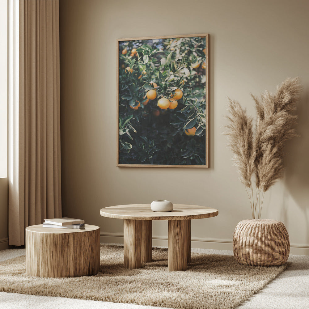 Marrakesh Appelsiner | Plakater - Kunsttryk