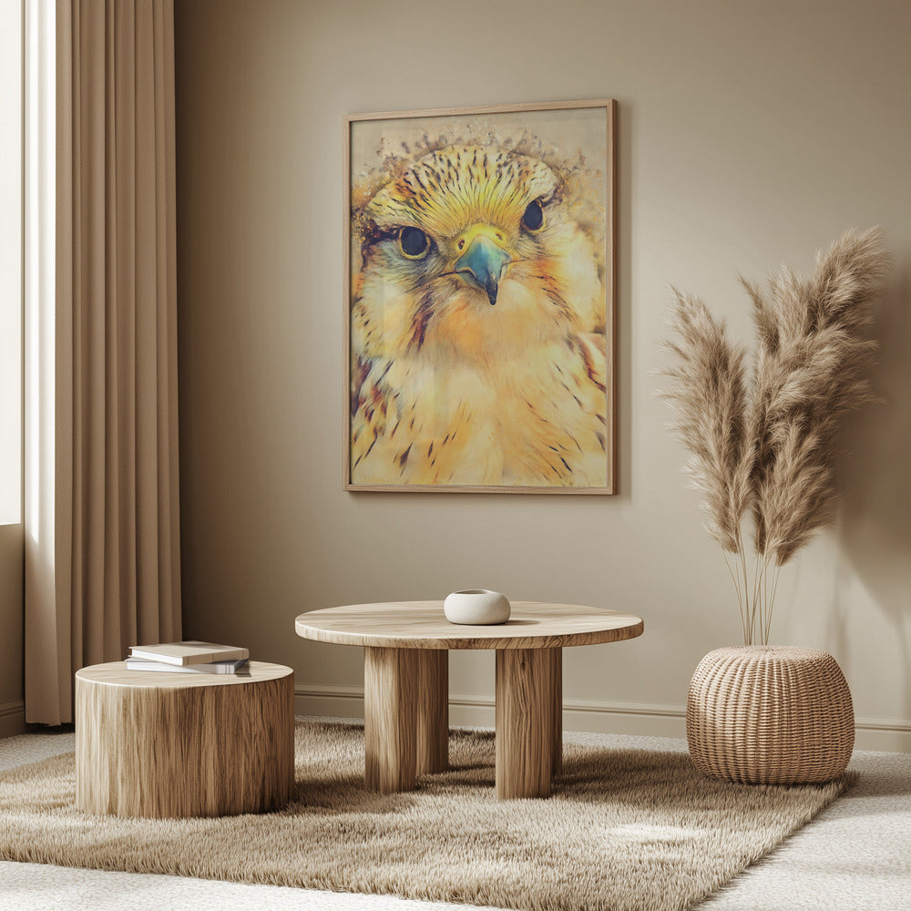Tierfalke Aquarell Tierkunst | Poster