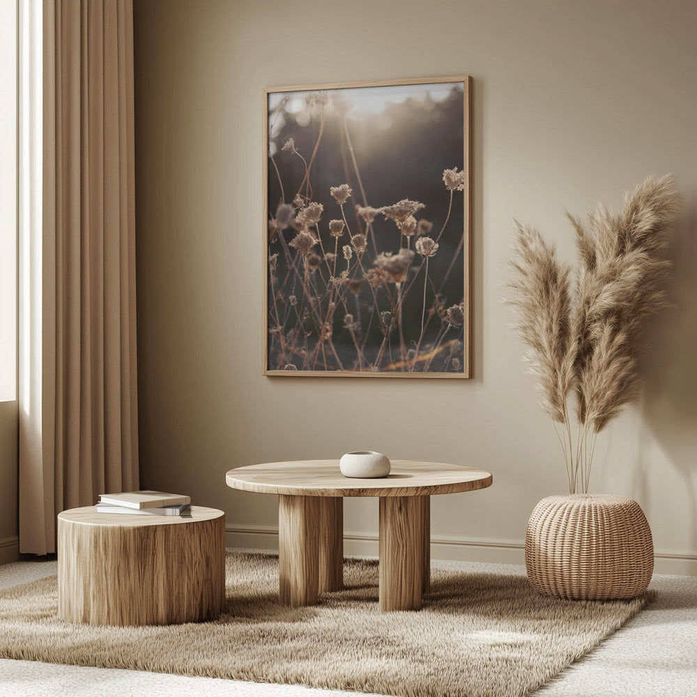 Warm Winter Light 2 | Poster